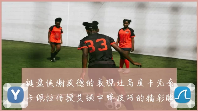 键盘侠谢泼德的表现让乌度卡无奈卡佩拉传授艾顿中锋技巧的精彩瞬间