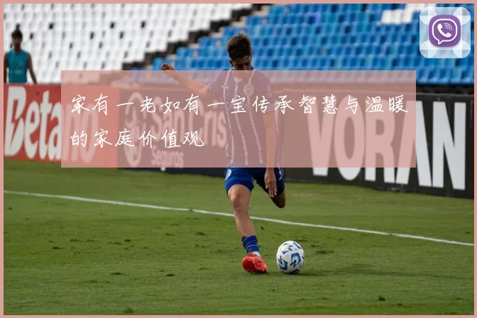 家有一老如有一宝传承智慧与温暖的家庭价值观