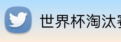 世界杯淘汰赛直播 Logo